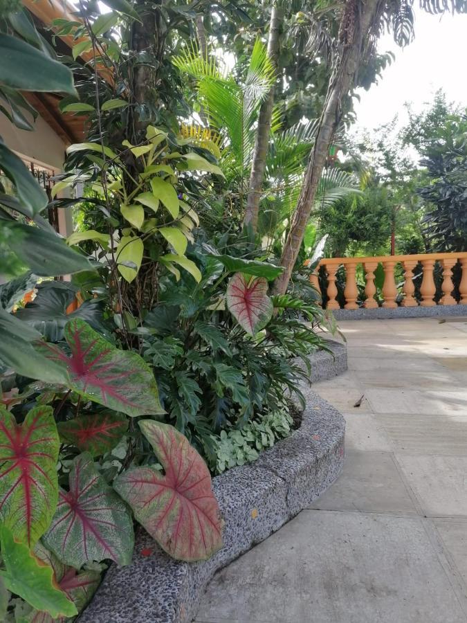 Ecohotel Otrolado Lodge Los Andes  Bagian luar foto
